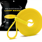 Bandas Elásticas de Resistencia FitPro Power Band — Varios Niveles