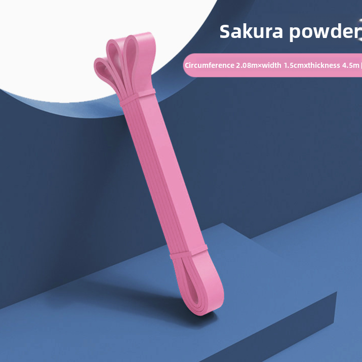 Bandas Elásticas de Resistencia FitPro Power Band — Varios Niveles
